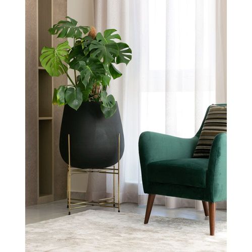 OURO PLANTER