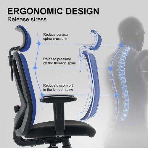 Ergonomics Office Chair
