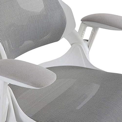 Robotto 608 - Back Office Chair - Made Up Of Mesh, Ergonomic Office Chair - Traditional In Style and Adjustable Backrest (Medium Back, White)
