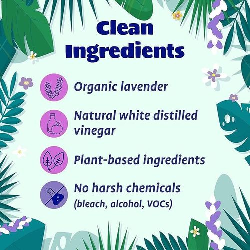 Organic Lavender Hand Wash Dispenser - 2-Pack, 470ml
