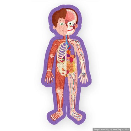 Hinkler Jigsaw & Book Human Body