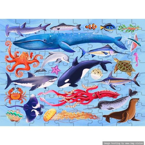 Hinkler Junior Jigsaw Explore 24 Sea Creatures