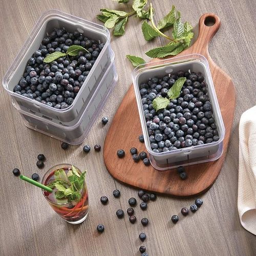 Idesign Crisp Bpa-Free Plastic Produce Storage Bin