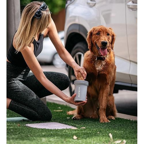 Dexas Mudbuster Portable Dog Paw Washer/Paw Cleaner, Medium, Light Gray
