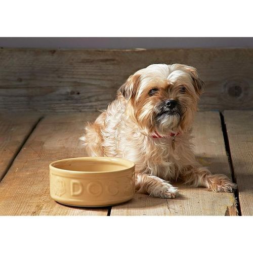 Mason Cash 6 Dog Bowl