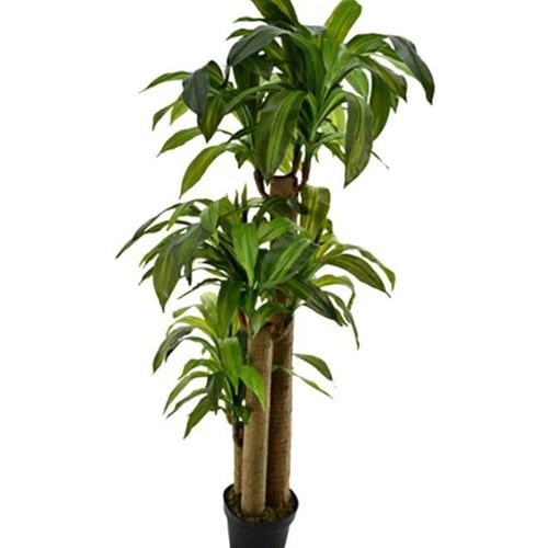 Artificial Brazil Dracaena Plant Green 1.4meter