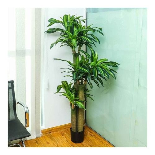 Artificial Dracaena Fragrans Plant Green