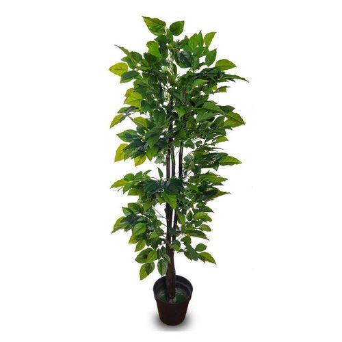 Artificial Goodluck tropical Plant 1.9 Meter High