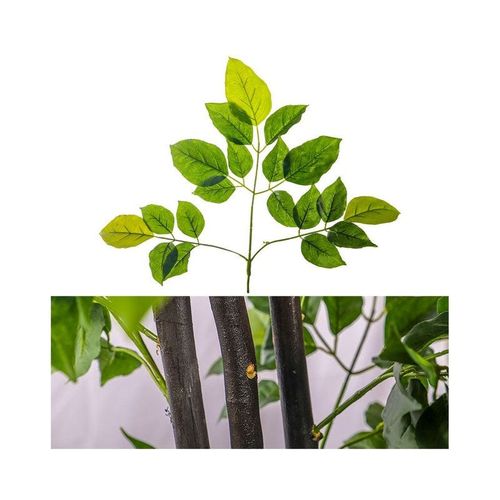 Artificial Goodluck tropical Plant 1.9 Meter High