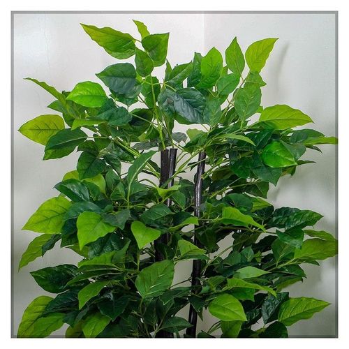 Artificial Goodluck tropical Plant 1.9 Meter High
