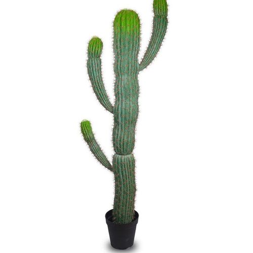 Artificial Cactus Plant