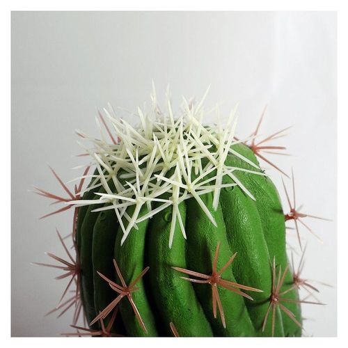 Artificial Cactus Plant