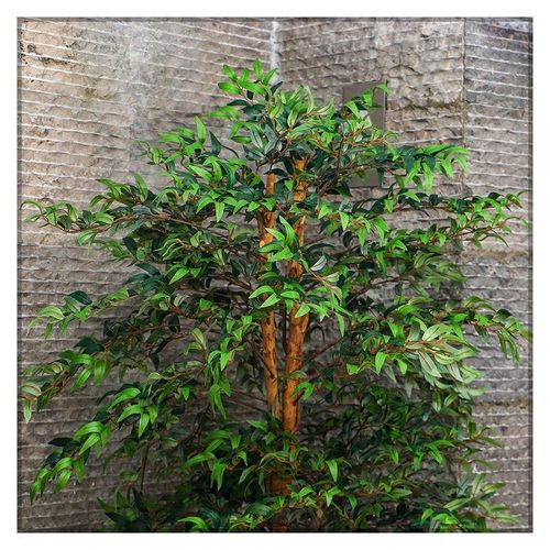 Nearly Natural Artificial Ficus Plant 2 Meter Tall