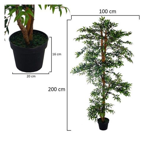 Nearly Natural Artificial Ficus Plant 2 Meter Tall