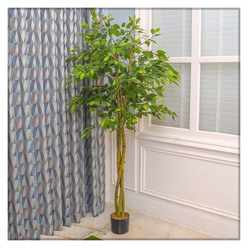 Artificial Ficus Plant 1.8 Meters Tall