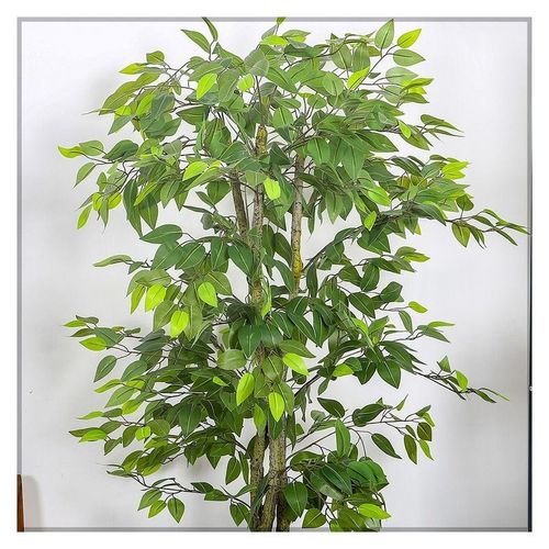 Artificial Ficus Plant 1.8 Meters Tall