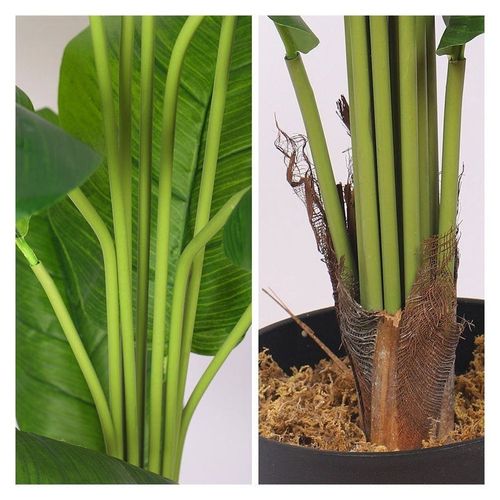 Artificial Peace Lily Plant 1.7 Meter High