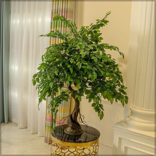 Yatai Artificial Ficus Plant 1.2 Meters Tall 