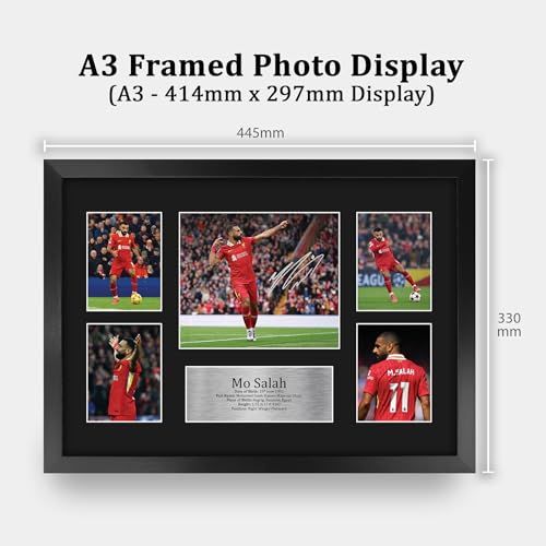 gallery_1