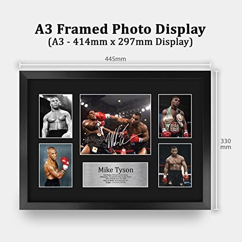 gallery_1