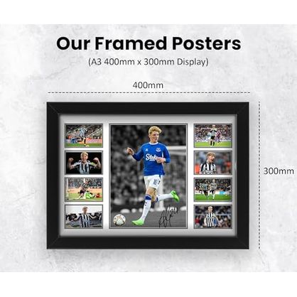 gallery_2