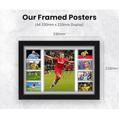 gallery_3