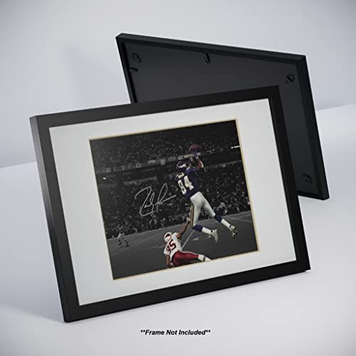 gallery_3