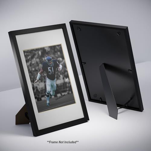 gallery_3