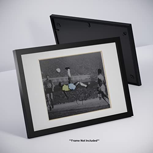 gallery_3