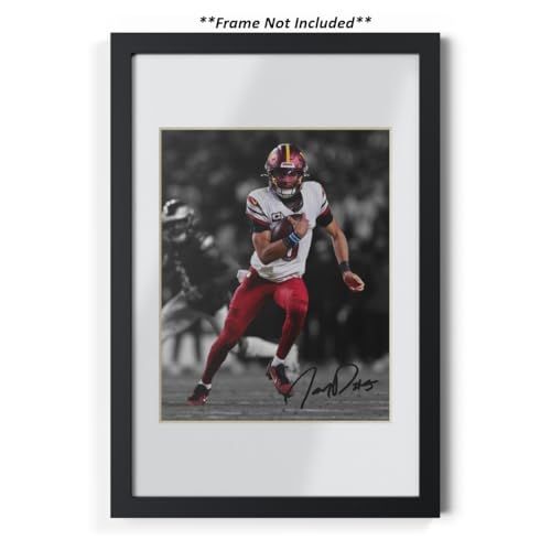 gallery_3