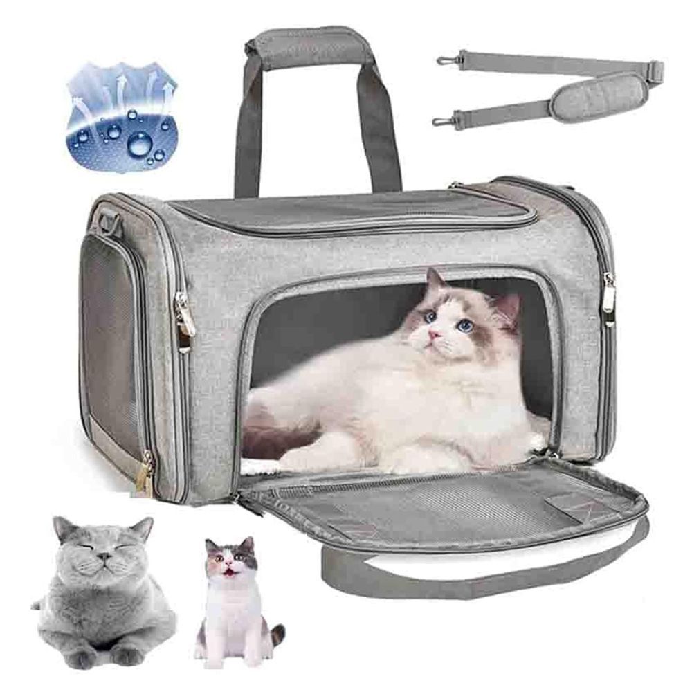 Pet Accessories