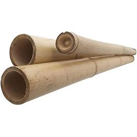 Bamboo Sticks for Plants - 120cm, 8pcs | Plant Support Stakes | 24-16mm, Plant Support Pole | Durable Plant Stick for for Flowers, Vegetables, and Creepers | Garden Sticks (8pcs, 120cm)