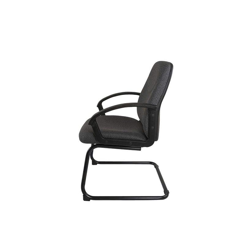 Iris 587 Office Executive Superior Fabric Chair (Visitors, Grey)