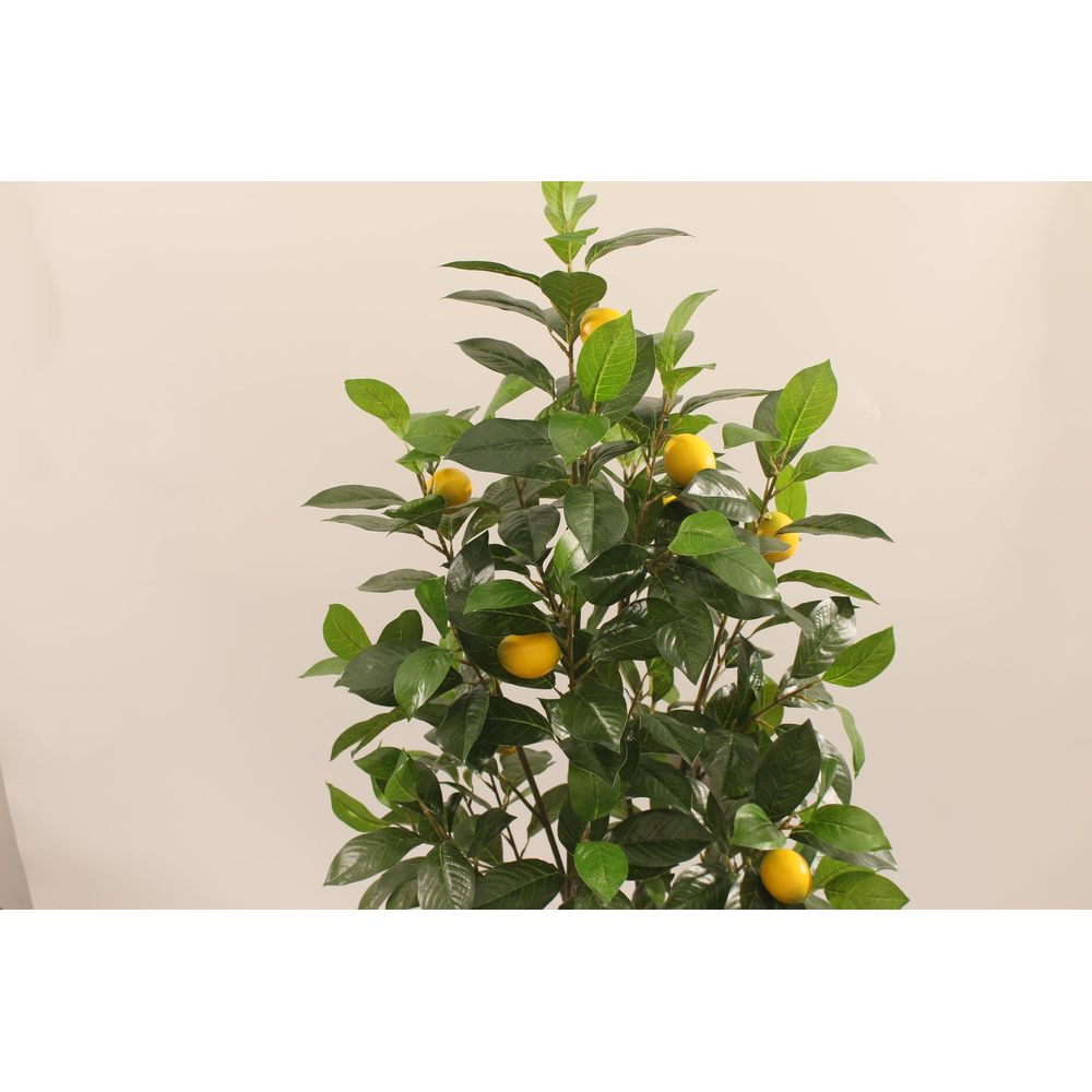 gallery_2