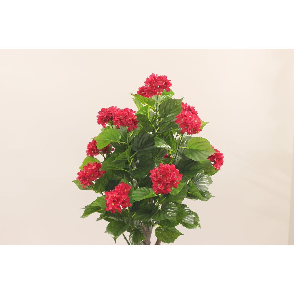 gallery_2