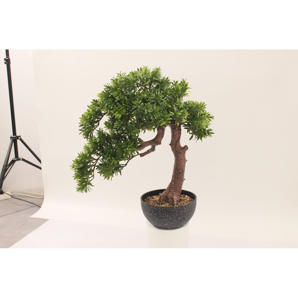 gallery_2