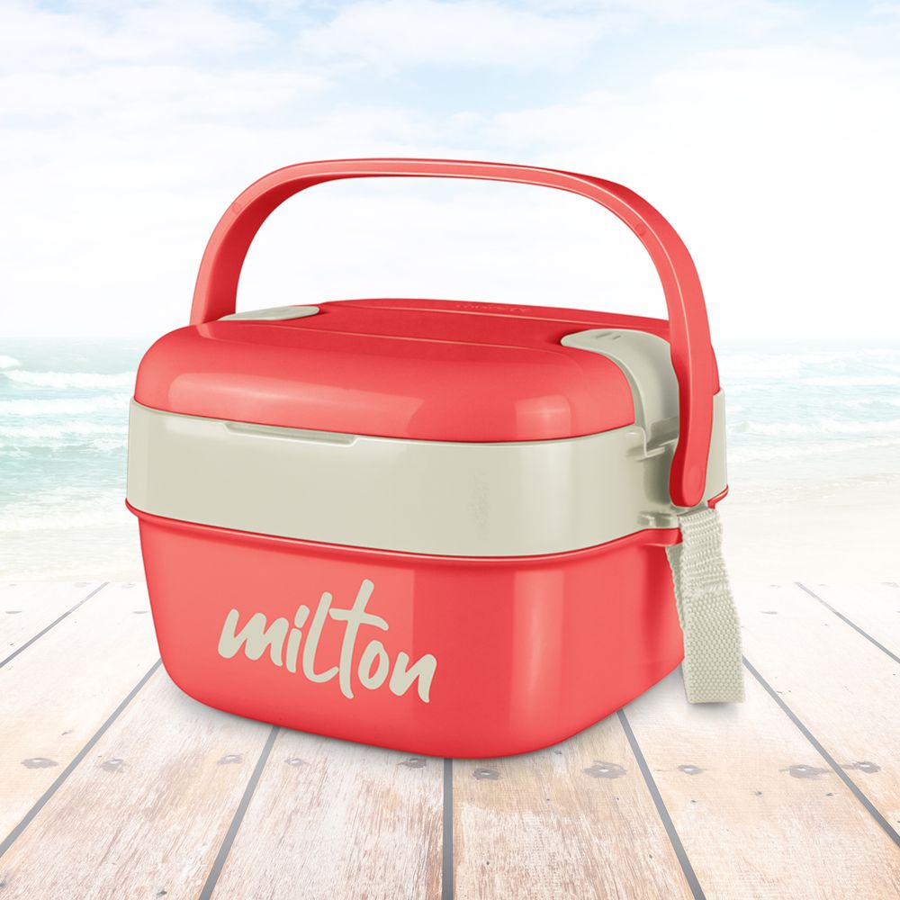 Milton insulated hot sale lunch box