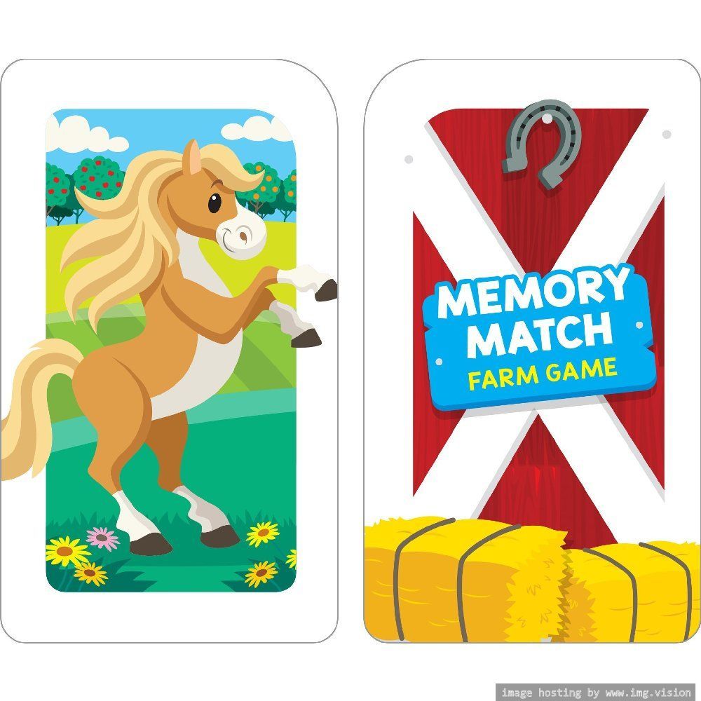 Hinkler School Zone Memory Match Farm Flash Card Game