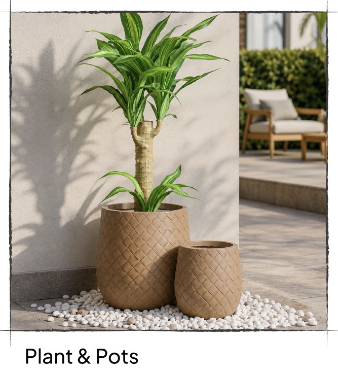 Plants & Flowers Pots